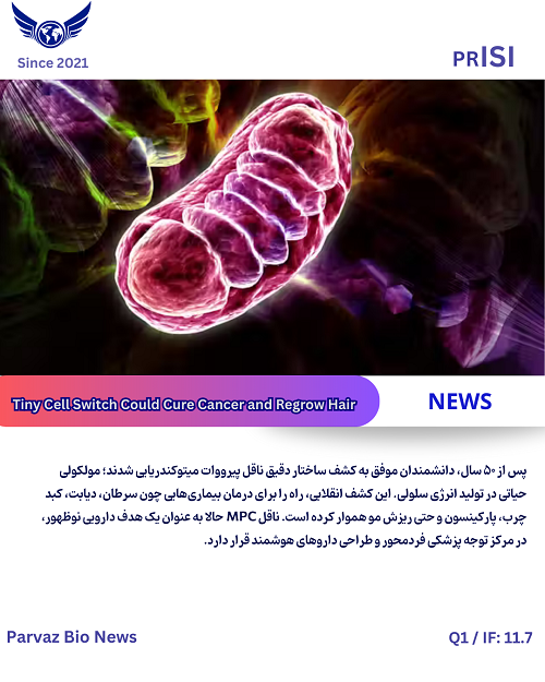 خبر میتوکندری